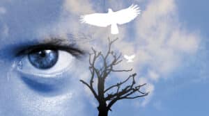 الظلم البيئي. الصورة التوضيحية: depositphotos.com