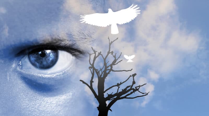 אי צדק סביבתי.   <a href="https://depositphotos.com. ">המחשה: depositphotos.com</a>