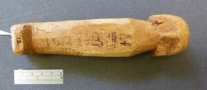 تمثال جنائزي مصري رقم UC 40179 من متوشالح القديمة، يعود تاريخه إلى أوائل الأسرة الثامنة عشرة. يدعم تاريخه بالكربون المشع تسلسلًا زمنيًا أقل لعهدي نبفت أحمس وابنه أمنحتب الأول. حقوق الصورة: إتش جيه بروينز (2017)، نُشر بإذن من متحف بتري للآثار المصرية والسودانية (كلية لندن الجامعية) بموجب ترخيص CC BY.