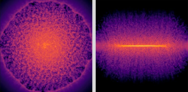 תמונות חזיתית (משמאל) ומהצד (מימין) של דיסקת גז גלקטית. תמונות אלה של פיזור גז אחרי פיצוץ סופרנובה נוצרו על ידי מודל הלמידה העמוקה החלופי. קרדיט: RIKEN