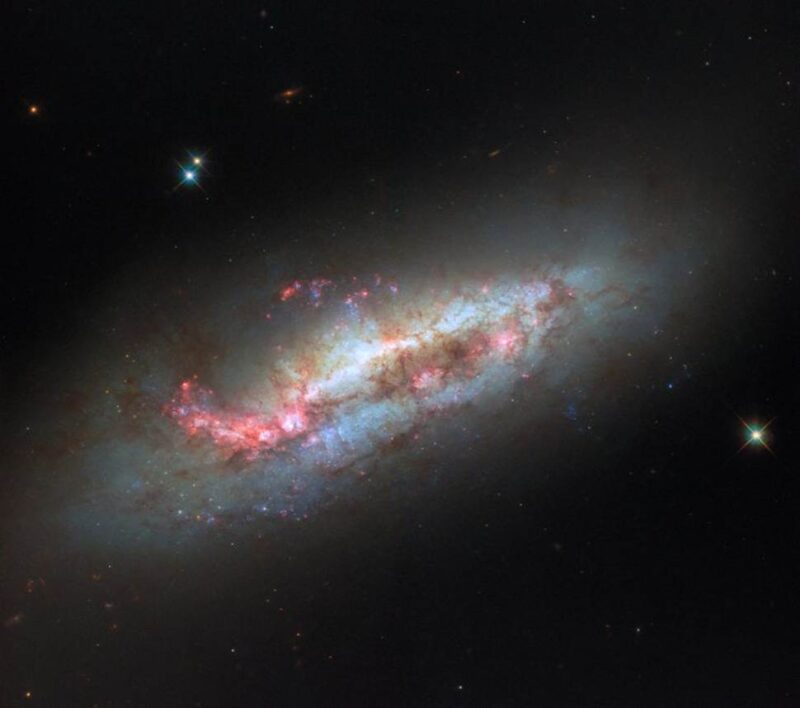 מבט מרשים של האבל על NGC 1511 מגלה גלקסיה ספירלית שתהפוכות קוסמיות עיצבו אותה. הגלקסיה שהייתה מעורבת בעבר במפגשים דרמטיים עם שכנותיה הקטנות יותר, עדיין נושאת את הצלקות - זרועות מעוקמות, גז מעוות וגשר מימן חלש שמחבר אותה לנלווית סמוכה. קרדיט:  ESA/Hubble & NASA, D. Thilker