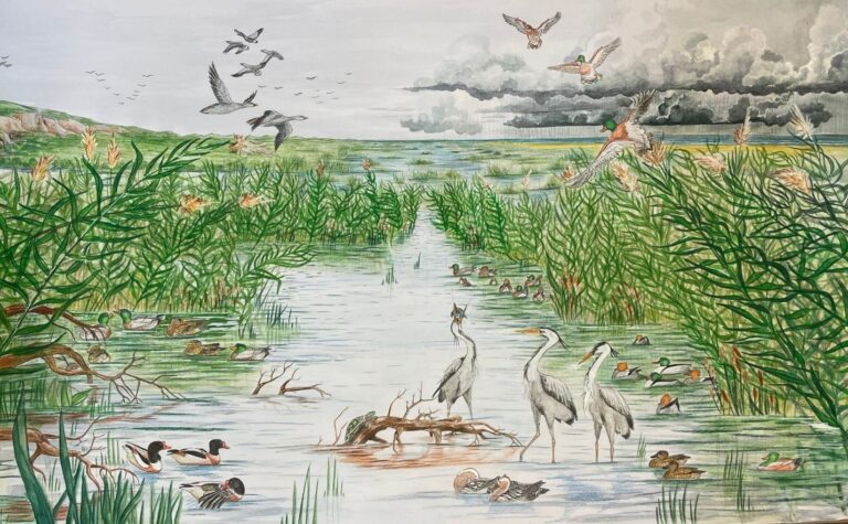 הנוף מנחל מערות. איור: דריה לוקשין-גנדזילוב