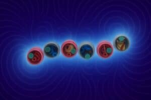 النظام من خلال الحركة. الصور: جامعة تل أبيب.