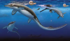 الرخويات في بداية عصر الديناصورات. أقدم نظام رباعي الأرجل محيطي معروف، يعود تاريخه إلى حوالي 249 مليون سنة. سرب من الإكثيوبتريجيات صغيرة الجسم من جنس غريبيا لونغيروستريس يصطاد الأمونيت الشبيه بالحبار (في الوسط). في البعيد، تتغذى أسراب من أسماك النجيليات، بوريوسوموس وساوريشثيس. حقوق الصورة: روبرت باك