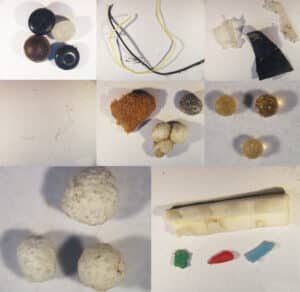 מיקרו-פלסטיק מנחל נעמן. צילום: אנליס פרי