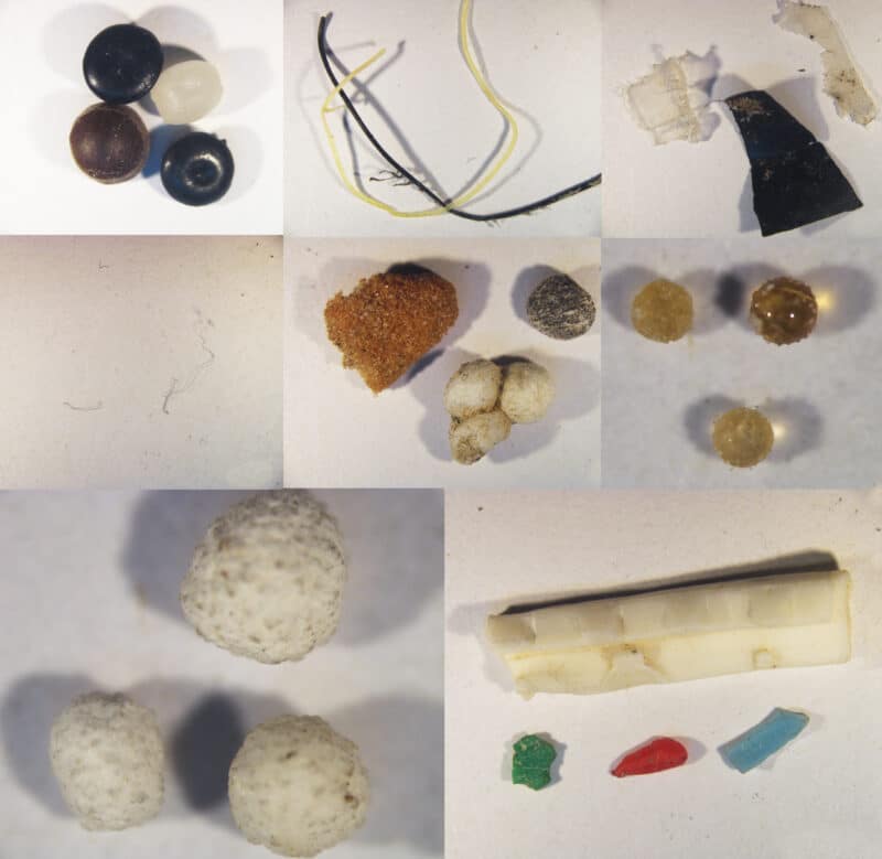 מיקרו-פלסטיק מנחל נעמן. צילום: אנליס פרי