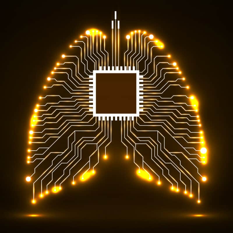 ריאה על שבב.  <a href="https://depositphotos.com. ">המחשה: depositphotos.com</a>