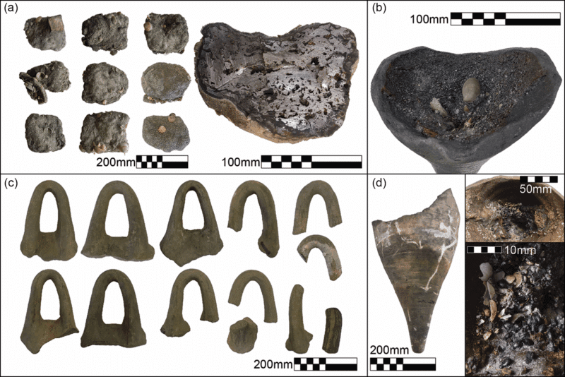 כיתוב תמונה: מטילי ברזל ושרידי אמפורות מאתר Dor L2. באתר נמצאו ממצאים מן המחצית השנייה של המאה ה־7 או ראשית המאה ה־6 לפני הספירה, ובהם: א) מטילי ברזל, ב) בסיס של אמפורה עם ידיות “סל” ובתוכו שרף, ג) ידיות של אמפורות, ד) בסיס של אמפורה מסוג “ידיות סל” עם גרעיני ענבים. קרדיט: Jonathan Gottlieb, Yoav Bornstein ו-Marko Runjajic.
