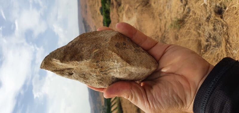 כיתוב תמונה: כלי אבן דו־פני מעוביידיה. קרדיט: עמרי ברזילי