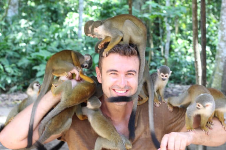 חיות בר חוששות מציידים, אך לא בהכרח מכל אדם. מטא־אנליזה רחבה מראה כי בעלי חיים מתאימים את התנהגותם לפי רמת הסכנה והצפיות של הפעילות האנושית. המחשה: depositphotos.com