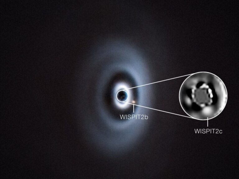 תמונות אלה, שצולמו באמצעות הטלסקופ הגדול מאוד של ESO ‏(VLT), מראות מערכת פלנטרית הנולדת סביב הכוכב הצעיר WISPIT 2. הכוכב מוקף בדיסקה של גז ואבק – חומר הגלם שממנו כוכבי לכת נוצרים וגדלים. בשנת 2025 זיהה צוות אסטרונומים כוכב לכת צעיר, WISPIT 2b, החוצב פער בדיסקה סביב הכוכב. כעת אישר אותו צוות את קיומו של כוכב לכת שני, WISPIT 2c, המקיף את הכוכב קרוב יותר, כפי שמוצג בתמונה המוגדלת. שני כוכבי הלכת הם ענקי גז, בדומה לצדק. המסה של WISPIT 2b גדולה כמעט פי חמישה ממסת צדק, והוא מקיף את הכוכב במרחק הגדול פי שישים מהמרחק בין כדור הארץ לשמש. WISPIT 2c מסיבי פי שניים מ־WISPIT 2b ומקיף את הכוכב במרחק קטן פי ארבעה. התמונות הושגו באמצעות המכשיר SPHERE המותקן על ה־VLT. המכשיר מתקן את הטשטוש שנגרם בשל ערבול האטמוספרה, וגם חוסם את אור הכוכב המרכזי, וכך חושף בפירוט רב את הדיסקה ואת כוכבי הלכת סביבה. מכשיר נוסף, GRAVITY+ שבאינטרפרומטר של ה־VLT, שימש אף הוא בגילוי ועזר לאשר שהעצם שנצפה הוא אכן כוכב לכת. קרדיט: ESO / C. Lawlor, R. F. van Capelleveen et al.