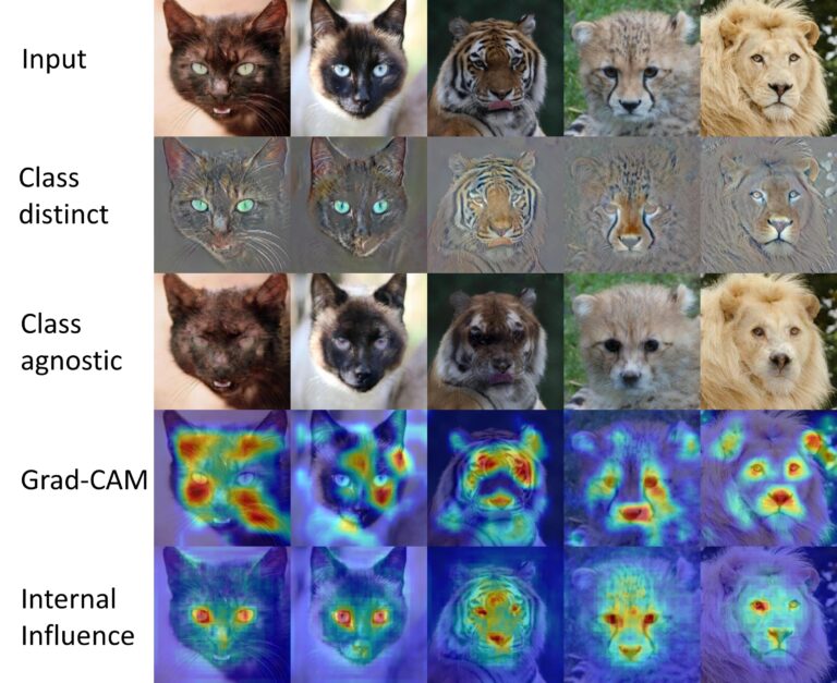 שיטות שונות של סיווג תמונות בידי בינה מלאכותית. מתוך המחקר