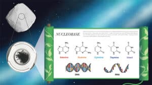الكويكب ريوجو: تم تحديد جميع القواعد الخمسة الأساسية للحمض النووي DNA والحمض النووي الريبي RNA في العينات التي أعادتها المركبة الفضائية Hayabusa2 منه، وهو اكتشاف يعزز الفرضية القائلة بأن الكويكبات الكربونية ساهمت في المواد الأولية للحياة على الأرض.