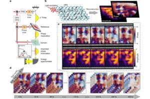 تصوير الدوامات و"البقع الداكنة" داخل مجال ضوئي - وهي ظواهر تم قياسها في بحث جديد من معهد التخنيون، مما يؤكد إمكانية تحركها بسرعة تفوق سرعة الضوء دون انتهاك نظرية النسبية. المصدر: مجلة نيتشر (2026)، DOI: 10.1038/s41586-026-10209-z.