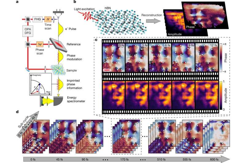 הדמיה של מערבולות ו“נקודות חושך” בתוך שדה אור — התופעות שנמדדו במחקר החדש מהטכניון ואישרו כי הן עשויות לנוע במהירות העולה על מהירות האור בלי להפר את תורת היחסות. קרדיט: Nature (2026), DOI: 10.1038/s41586-026-10209-z.