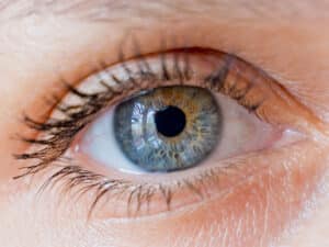 העין האנושית. המחשה: depositphotos.com