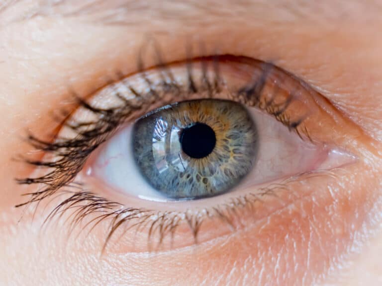 העין האנושית. המחשה: depositphotos.com