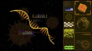 بنية الحمض النووي الريبوزي الرسول (mRNA). رسم توضيحي: depositphotos.com