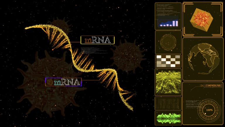מבנה ה-mRNA. המחשה: depositphotos.com