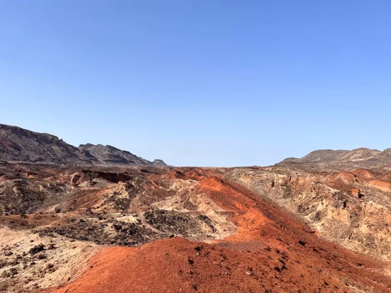 שכבות מאובנים מתקופת המיוקן המאוחר בלותגאם שבמערב טורקנה. קרדיט: Christian Rowan