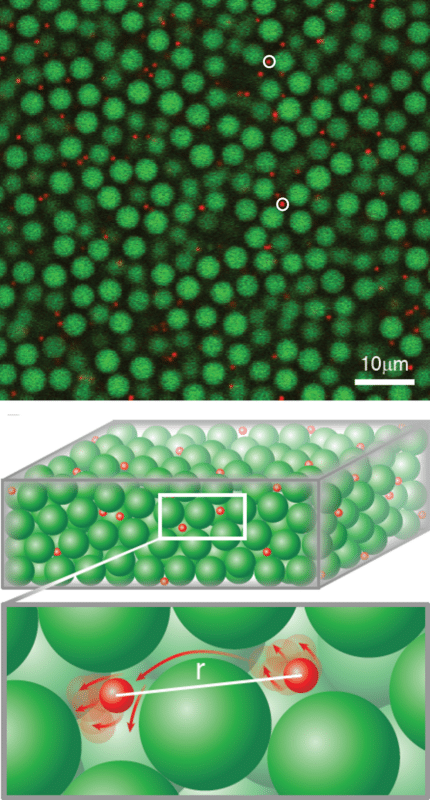 מעבר מצבי הזכוכית. איור פרופ' חיים דימנט ופרופ' יעל רויכמן.
