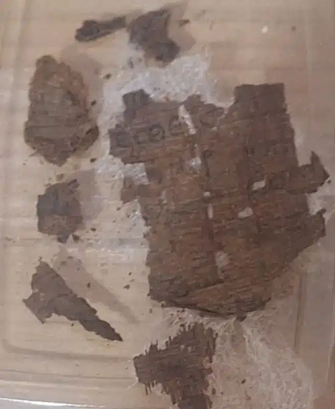 האיליאדה היא אפוס יווני עתיק המיוחס להומרוס, ומתוארך למסורת ספרותית שראשיתה לפני כ־2,700 שנה. קטע ממנה זוהה כעת בפפירוס שהונח על מומיה מצרית מן התקופה הרומית. Credit: Professor Ignasi-Xavier Adiego.