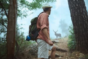 A deer fearfully watches a hiker on a trail. Illustration: depositphotos.com