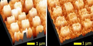 Adsorption of crystals of a chiral biological molecule onto a gold-coated cobalt surface. It can be seen that larger crystals of a specific form of the biological molecule (left) tend to accumulate on the surface rather than its mirror image (right). While the crystals on the left reach a height of about 1.2 nanometers, on the right they do not exceed 0.8 nanometers. The physical advantage of the left form in accumulating on the magnetic surface ensures that in competition with its mirror image, it would establish itself as the "winning" form.