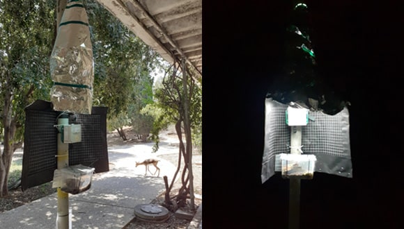 ויווריום בגן הזואולוגי ביום ובלילה
