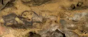 رسومات حيوانات من عصور ما قبل التاريخ على جدار كهف بونت دو غوم في فرنسا