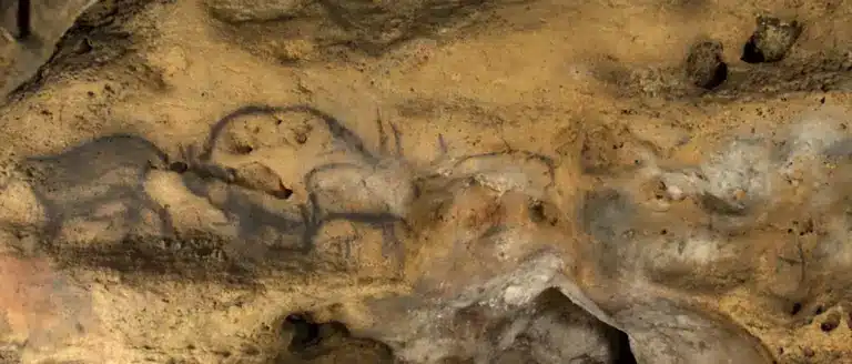 ציורי בעלי חיים פרהיסטוריים על קיר מערת פונט־דה־גום בצרפת