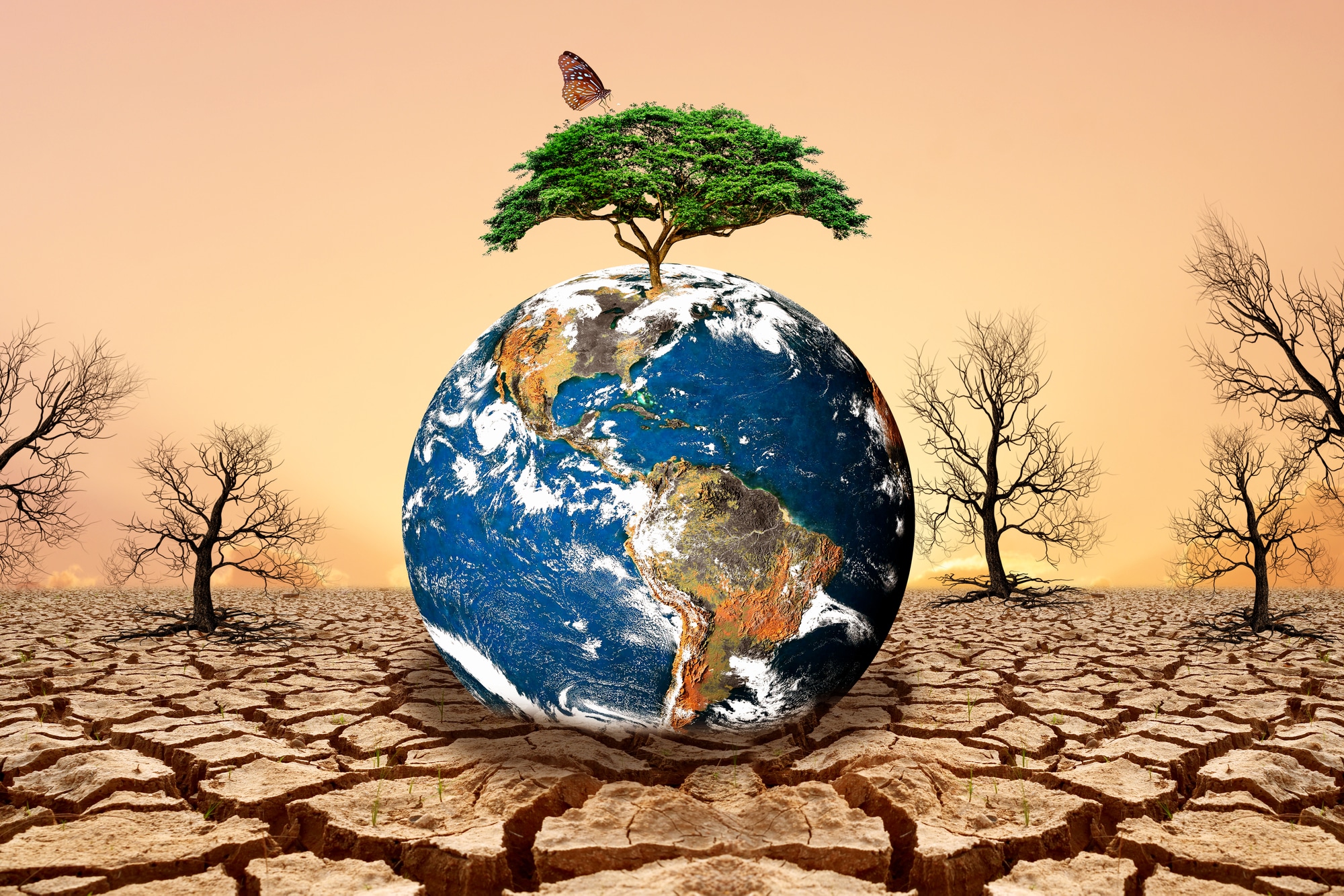 Climate crisis becomes a culture war: How populism is hindering the fight