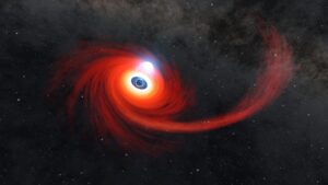 A general illustration of a star being torn apart by the tidal forces of a black hole. Some of the material forms a hot accretion disk, from which a high-speed wind is emitted. The researchers speculate that a similar mechanism, within a binary system, may explain the AT2024wpp event. Image: NASA's Goddard Space Flight Center/CI Lab.