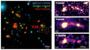 James Webb observation of the protocluster SPT2349-56 and the galaxy C26 with a long gas tail
