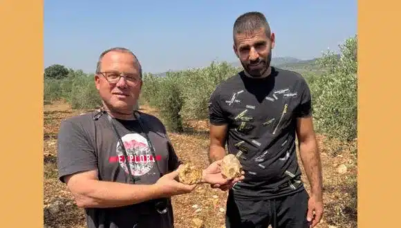 אבני היד מבקעת סכנין מרמזות: האדם הקדום בחר גם לפי מראה האבן