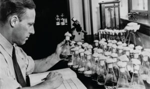 A researcher examines culture bottles as part of the research and production of penicillin during World War II.