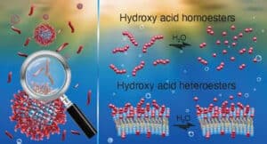 Combined structures of fatty acids and oligomers that may form cell-like compartments