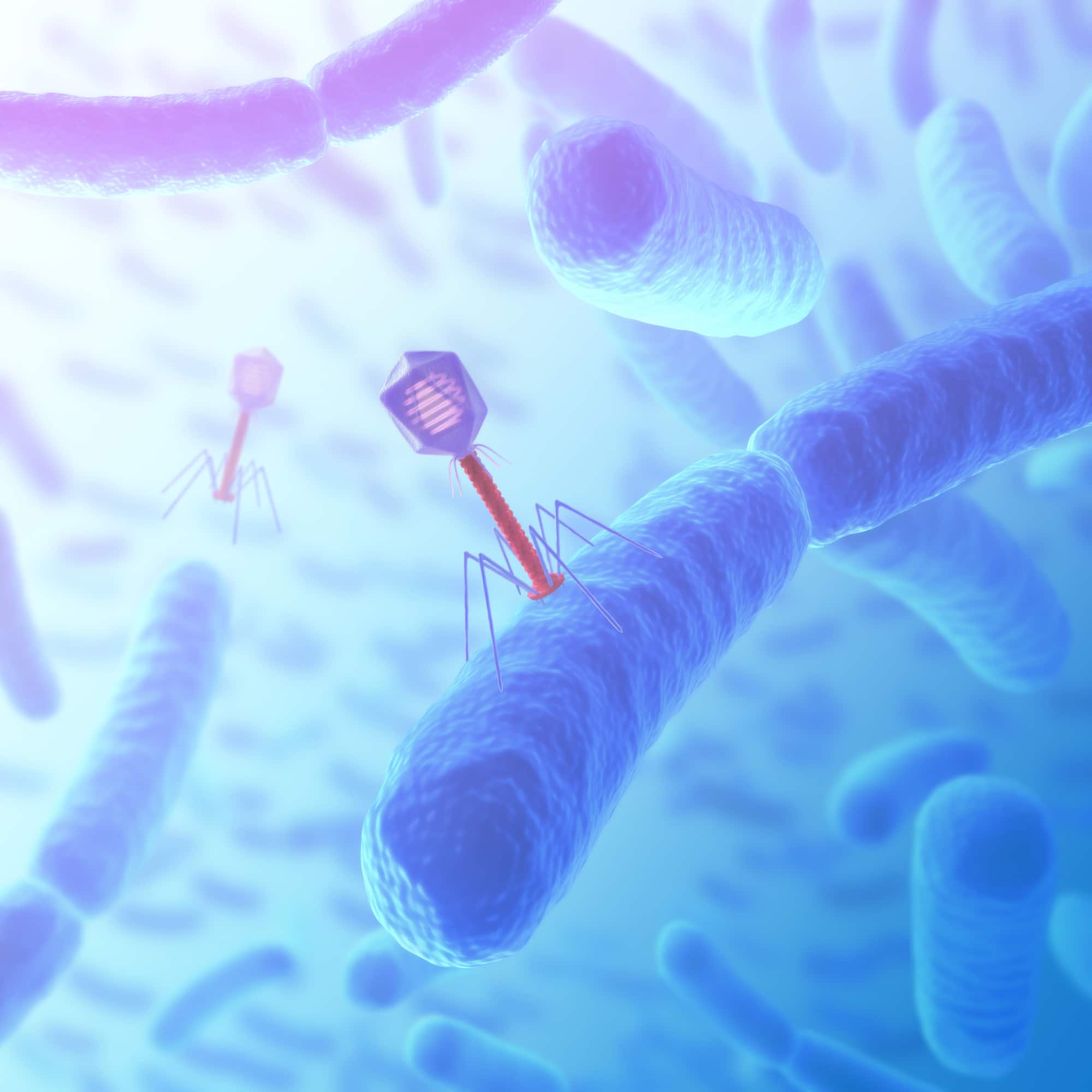 Artificial intelligence has designed functioning viruses that infect bacteria – but it hasn't created life from scratch yet