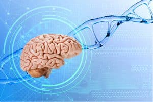 Human brain against the background of DNA helices. Could rare genetic variants delay Alzheimer's disease?