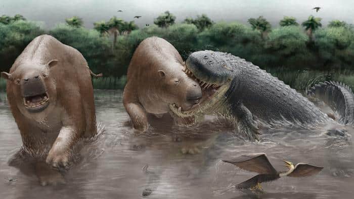 שחזור אמנותי של *Purussaurus neivensis* תוקף את היונק הצמחוני *Pericotoxodon platignathus* במערכת האקולוגית של לה ונטה בקולומביה בתקופת המיוקן. ההמחשה מבוססת על המאובנים וסימני הנשיכה ואינה תיעוד ישיר של האירוע.