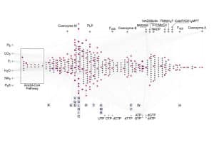 All known life shares a single origin – but the independent cell may have been born twice