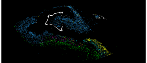 Mapping of about half a million brain cells: In depression, the creation of new neurons stalls before maturation