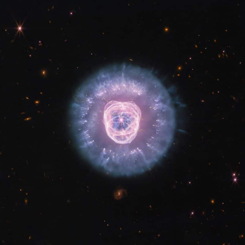 ערפילית האריה NGC 2392 ובה ליבה בהירה, טבעות ורודות ומעטפת סגולה־כחולה דמוית רעמת אריה