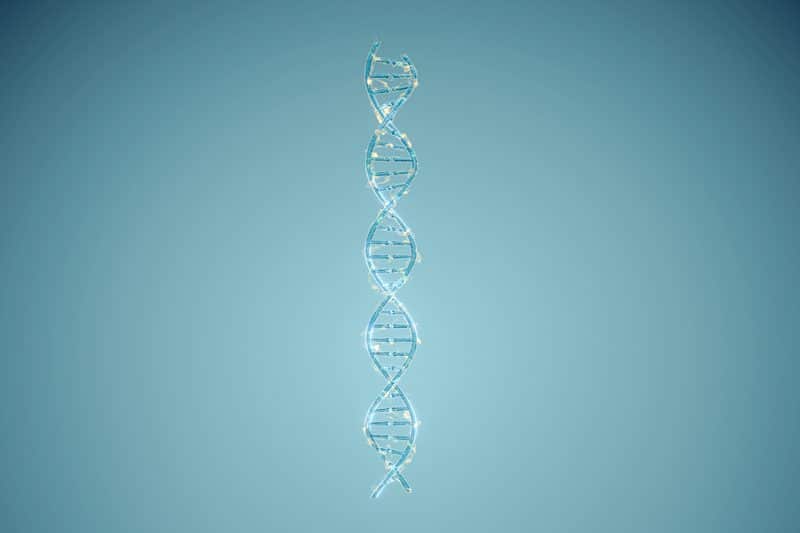 איור של DNA וכרומוזומים המייצגים גנים ומידע גנטי. <a href="https://depositphotos.com/" target="_blank" rel="noopener noreferrer">אילוסטרציה: depositphotos.com</a>.