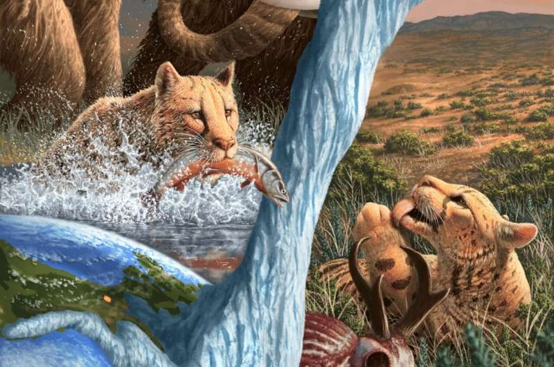 ה"ברדלס האמריקני" לא היה ברדלס – ובצפון הוא כנראה אכל דגים