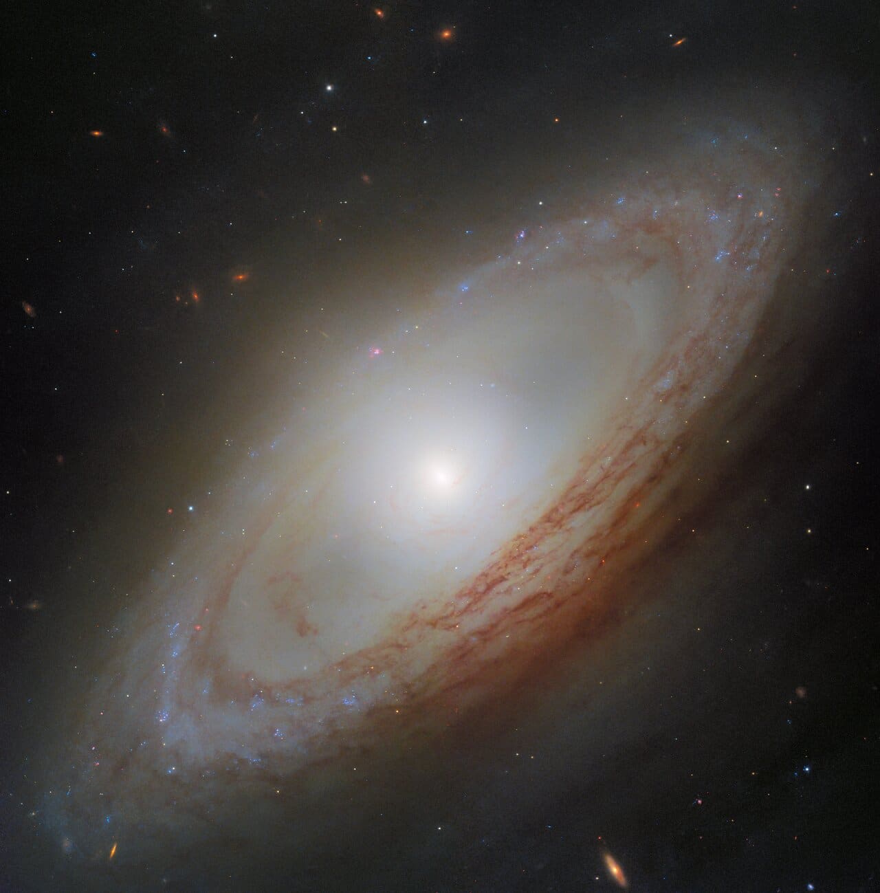 NGC 4698 בצילום האבל. קרדיט: ESA/Hubble & NASA, D. Thilker, the MAUVE-HST Team.